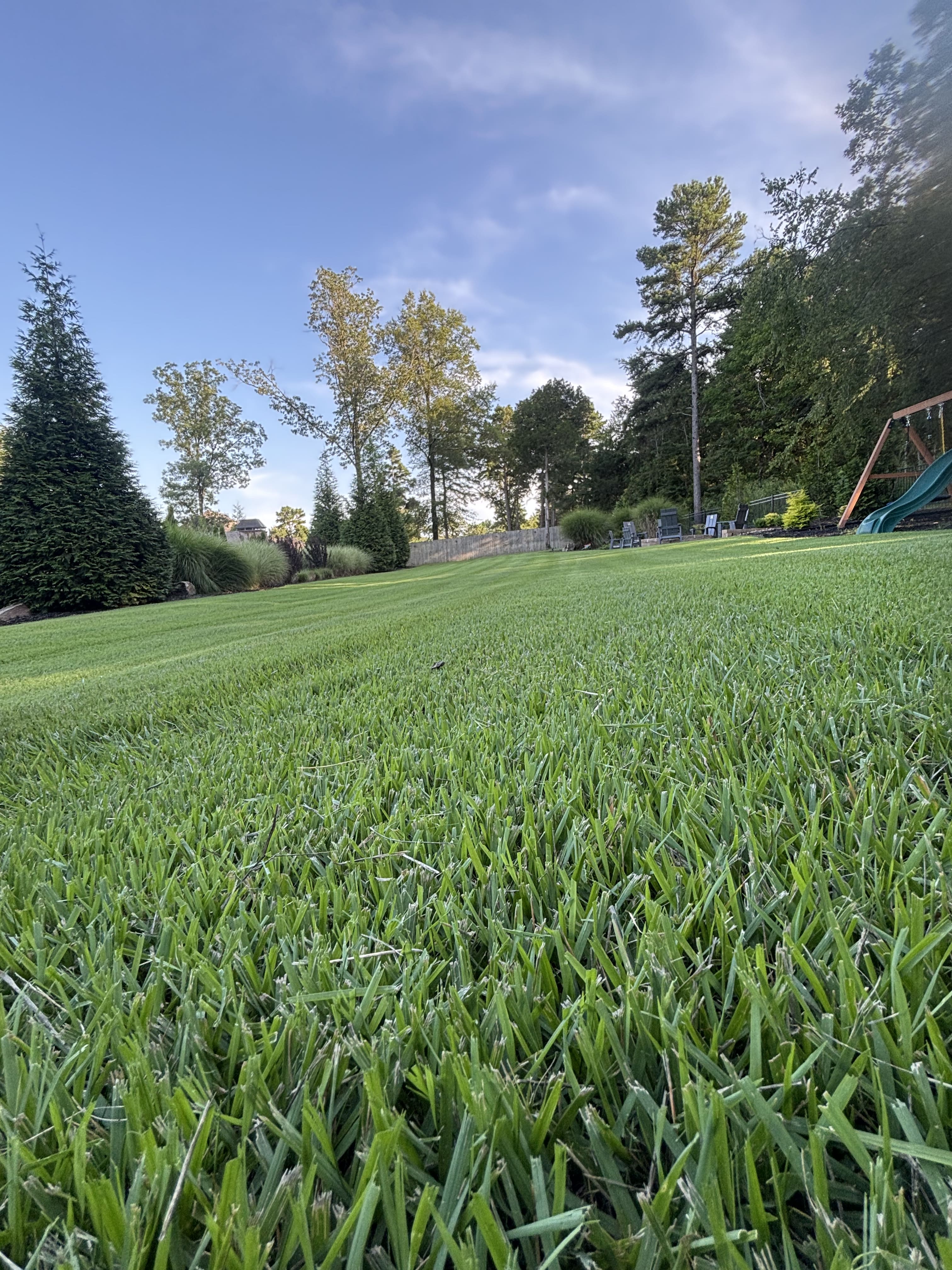 Turf Treatments & Irrigation