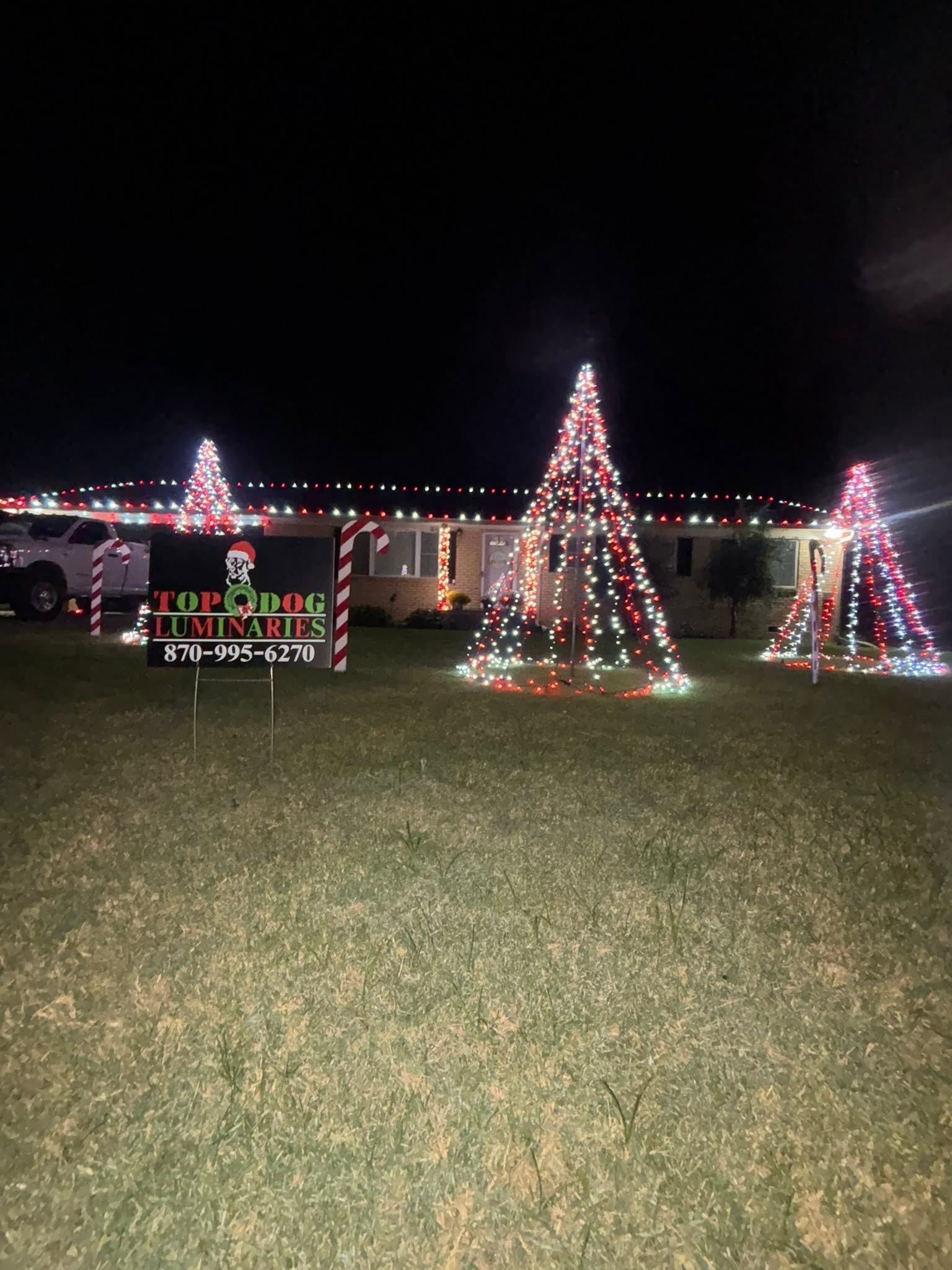 Yard trees and candy canes