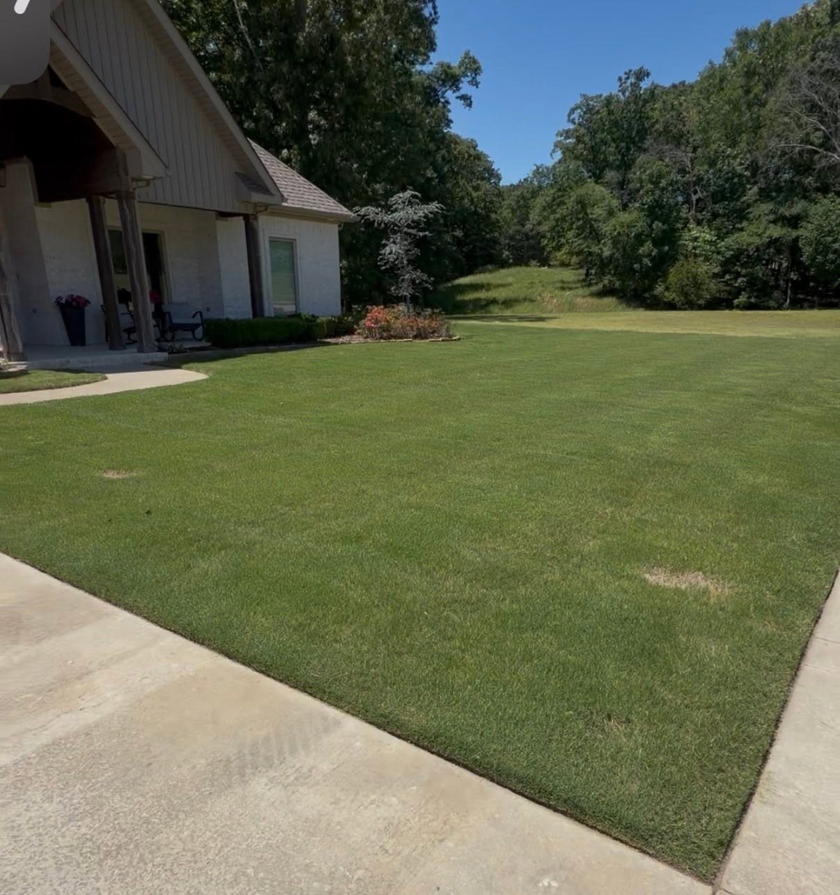 Established sod