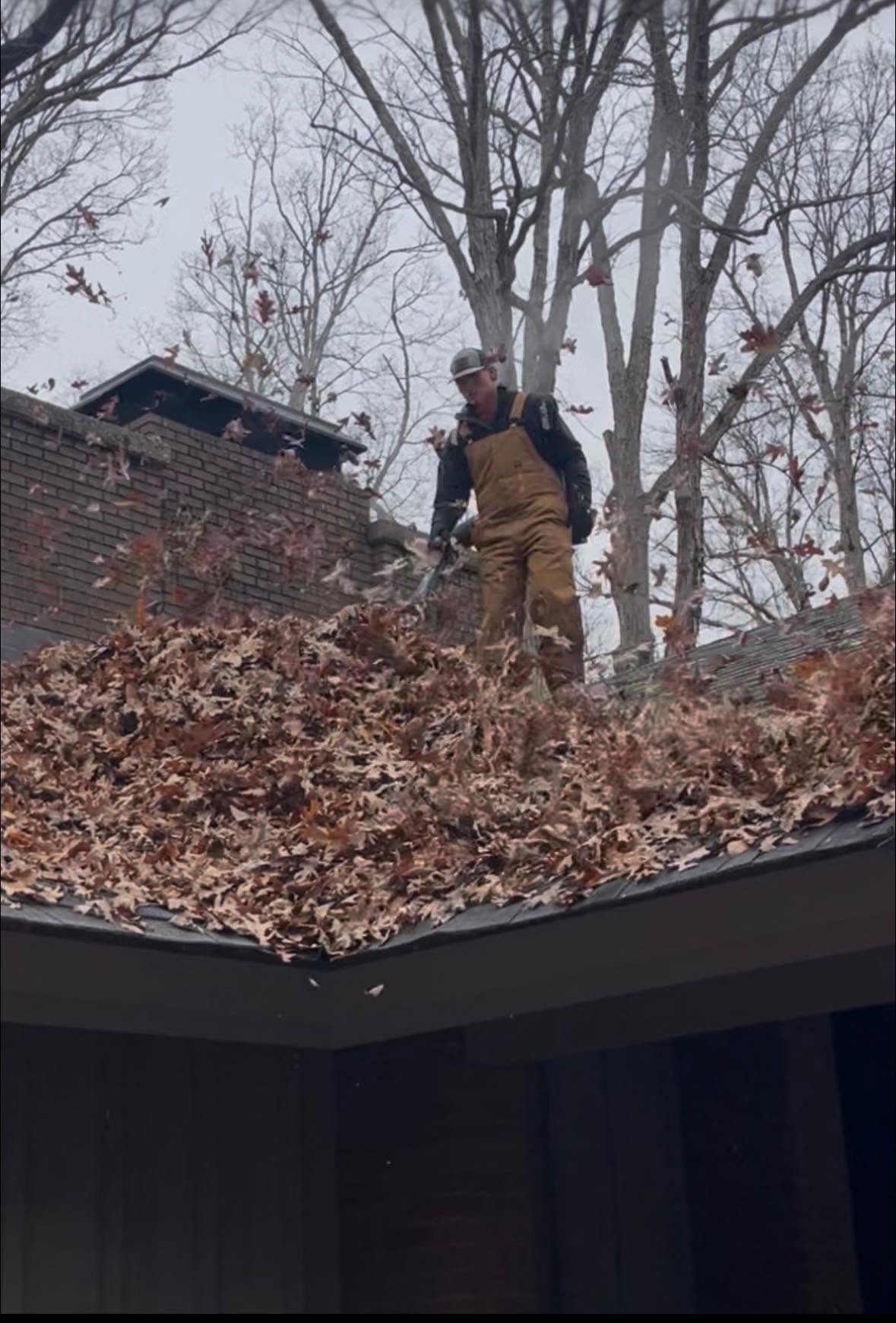 Fall leaf cleanup