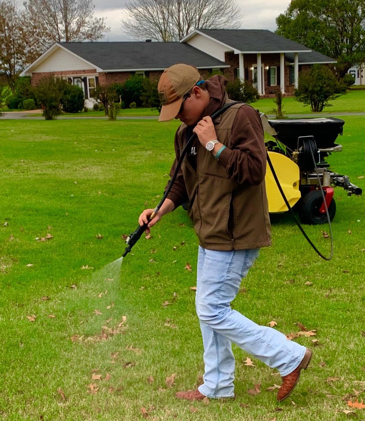 Spray application on the lawn