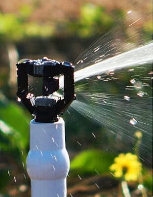 Head spraying