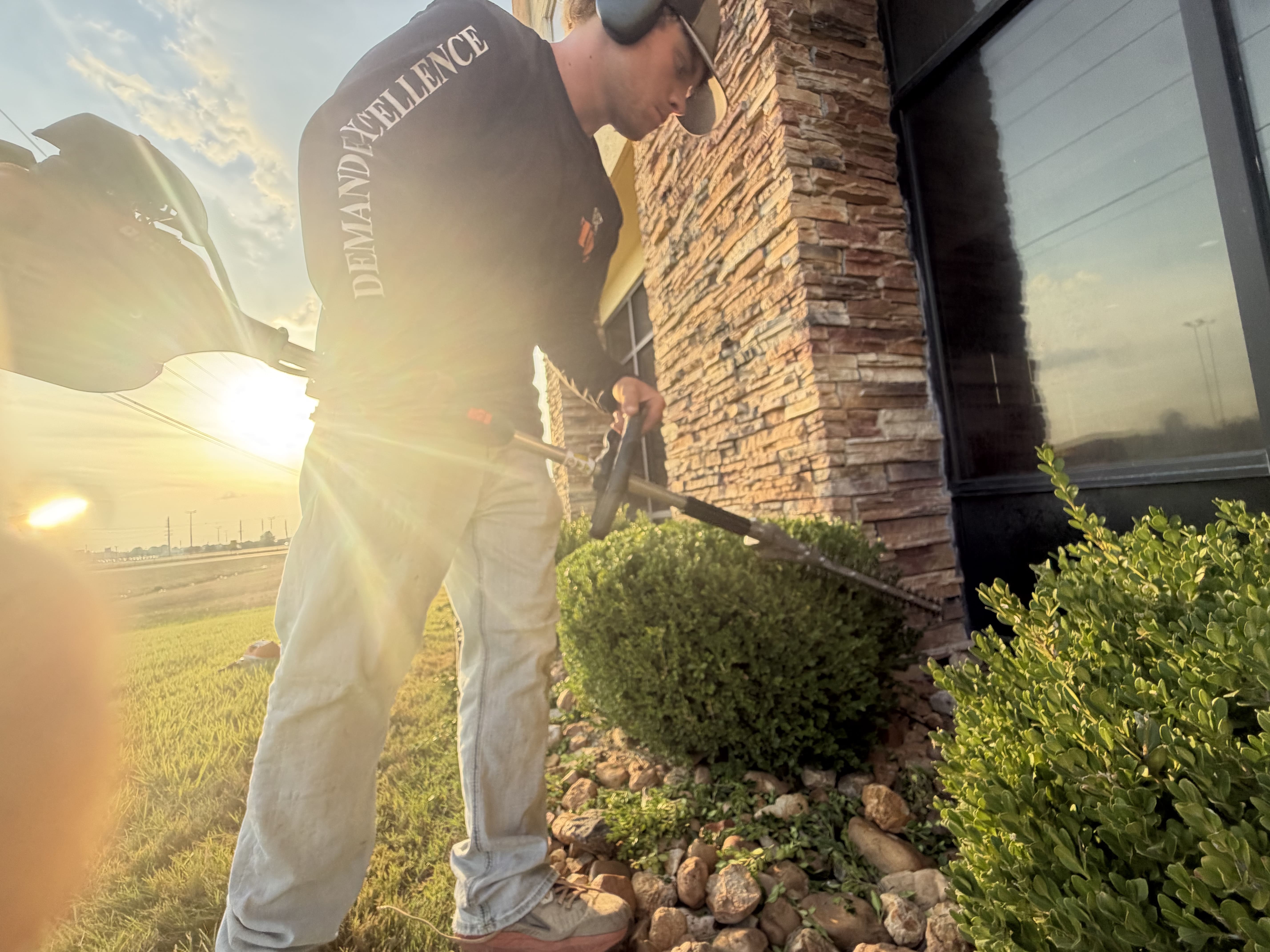 Top Dog lawn services