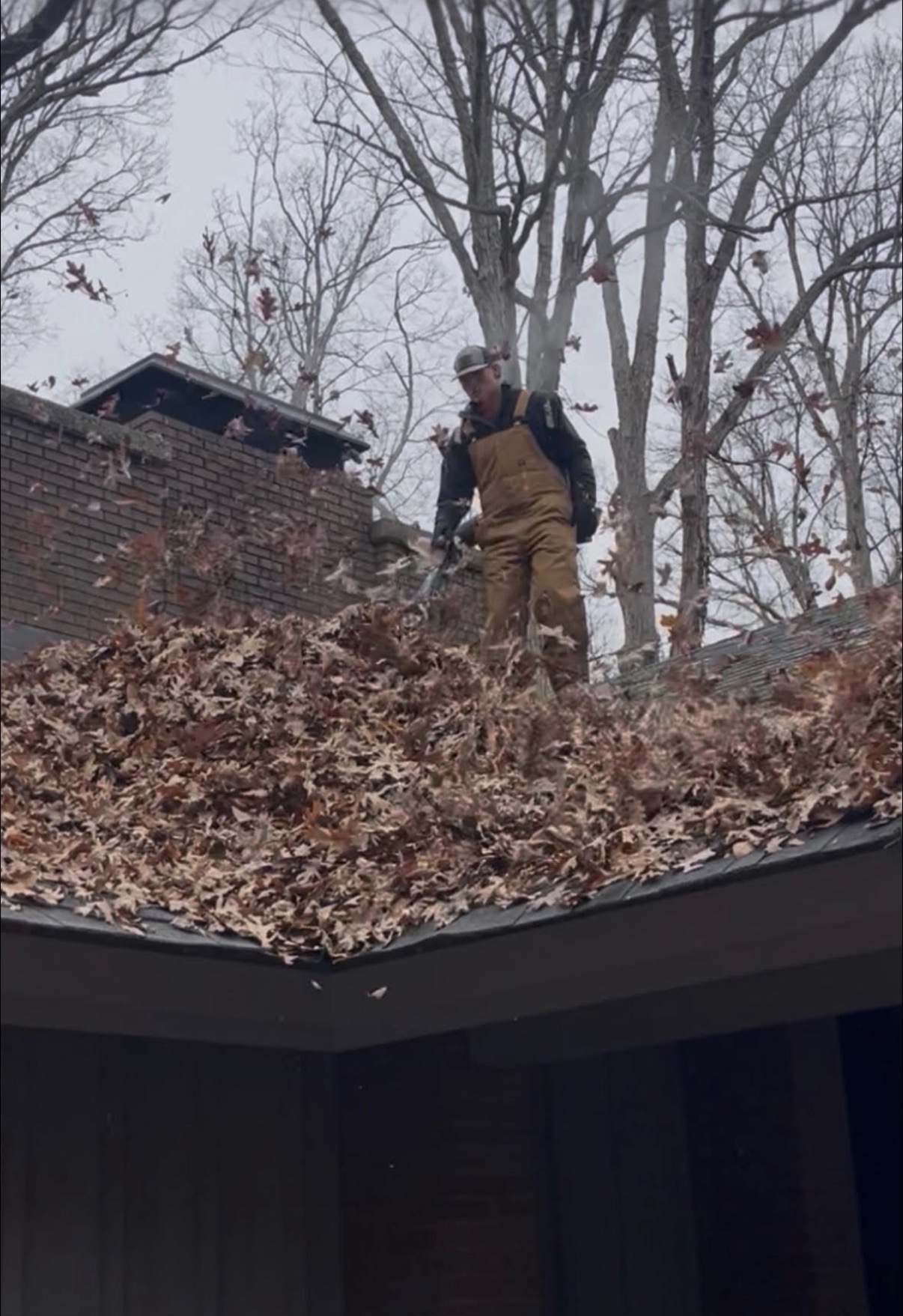 Top Dog landscape work
